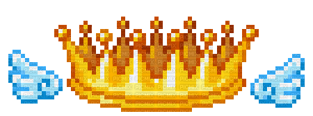 Top-1 Crown